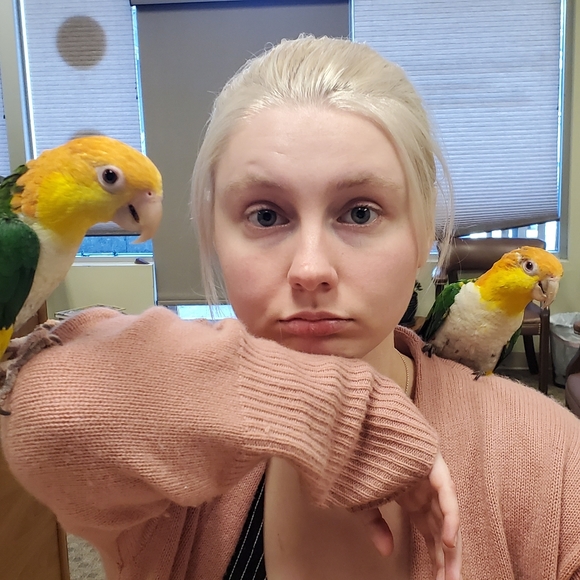 Meet the Posher - Picture 5 of 11